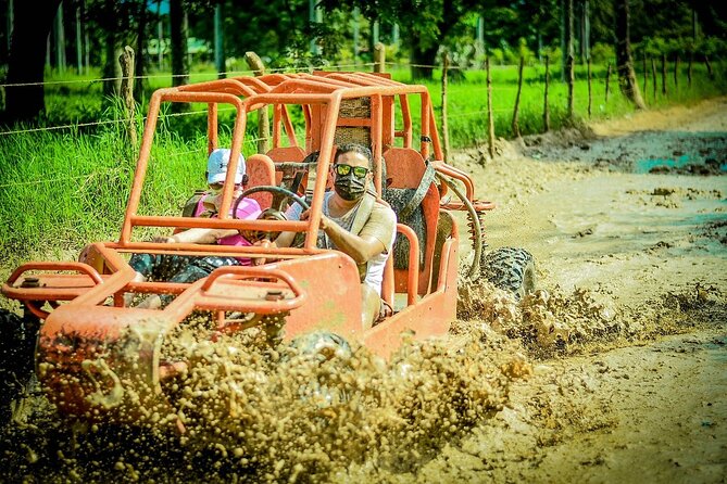 Buggy Adventure Tour with Chocolate and Coffee in Punta Cana - The organic farm and its tiny tastings