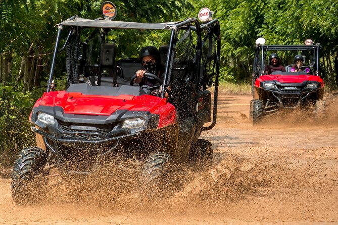 Buggy Adventure with Cenote, Waterfalls & Dominican Lunch - Forest trails and the abandoned mine track