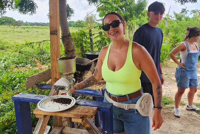 Buggy, horse and plantation ranch - A Hands-On Start at the Macao Ranch