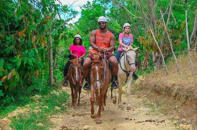 Buggy, Horse and Zip Line with Lunch included from Punta Cana - A slower horseback route near Higüey
