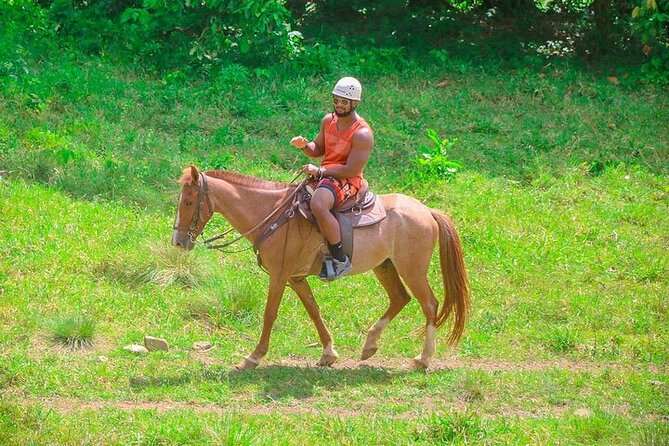 Buggy, Horse and Zip Line with Lunch included from Punta Cana - Eight zip lines above the Macao area