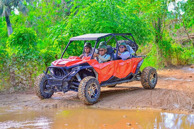 Buggy Horses and Zip Line from Punta Cana with Lunch Included - Lunch, water, and the value of $95