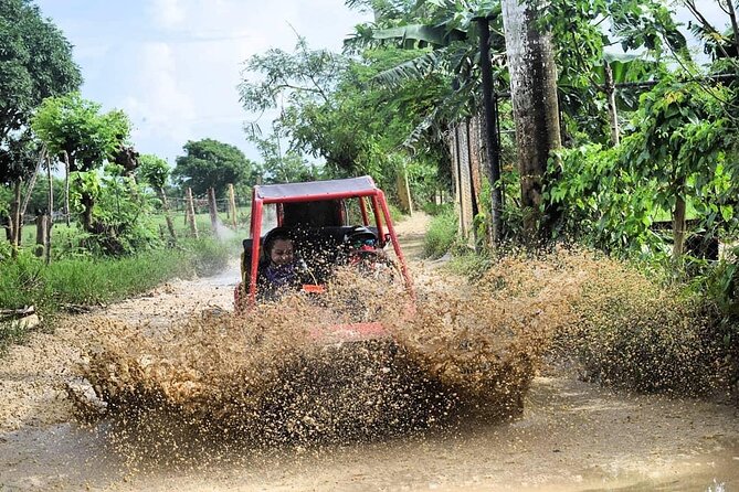 Buggy Off-Roading with Chocolate and Coffee Tasting in Punta Cana - Who should book this Punta Cana outing