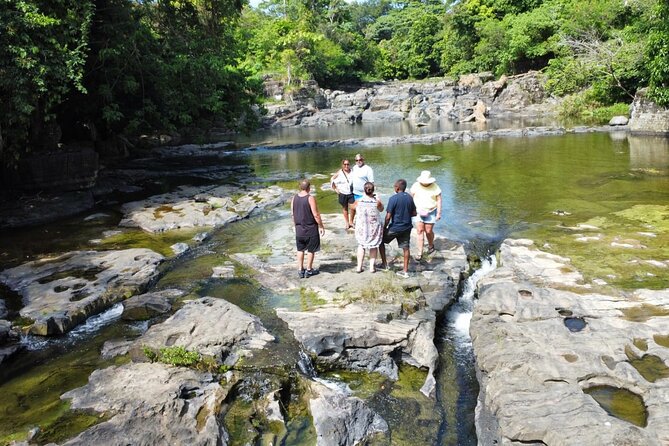 Buggy Ride, Horseback, Zipline,Eco Farm,Macao Beach - Ziplining between the trees