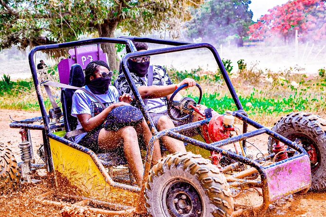Buggy Ride into the Jungle coffee , chocolate tasting Cenote - The people who will enjoy this most