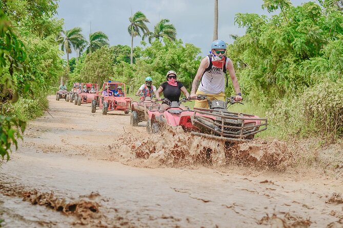 Buggy Ride Into the jungle with cave coffee & chocolate tasting - Coffee, cocoa, tobacco, and the sales stop