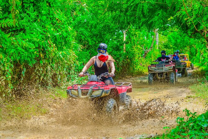 Buggy Ride Into the jungle with cave coffee & chocolate tasting - What the $53 price really covers