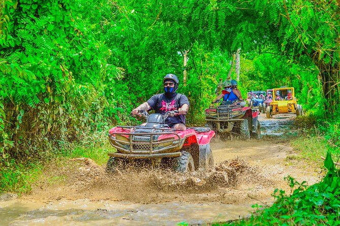 Buggy Ride Into the jungle with cave coffee & chocolate tasting - Who will enjoy this excursion most?