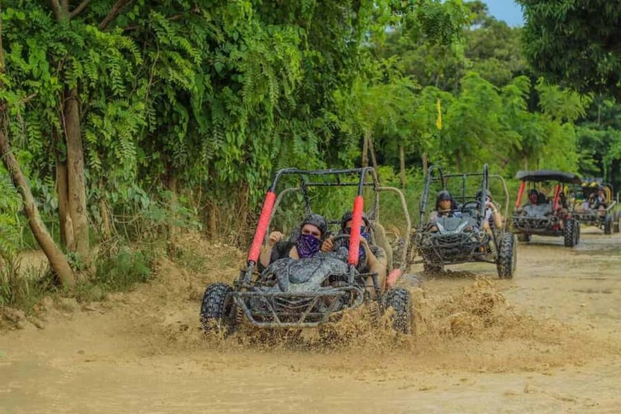 Buggy ride on rural routes and Macao Beach - What $70 really gets you