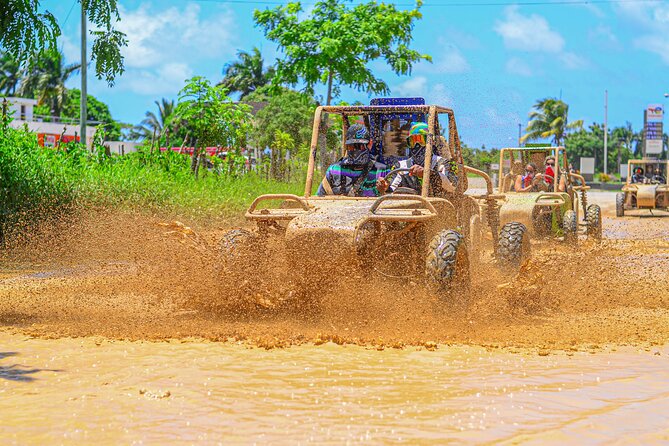 Buggy Tour in Punta Cana - Coffee, cocoa, and a taste of local life