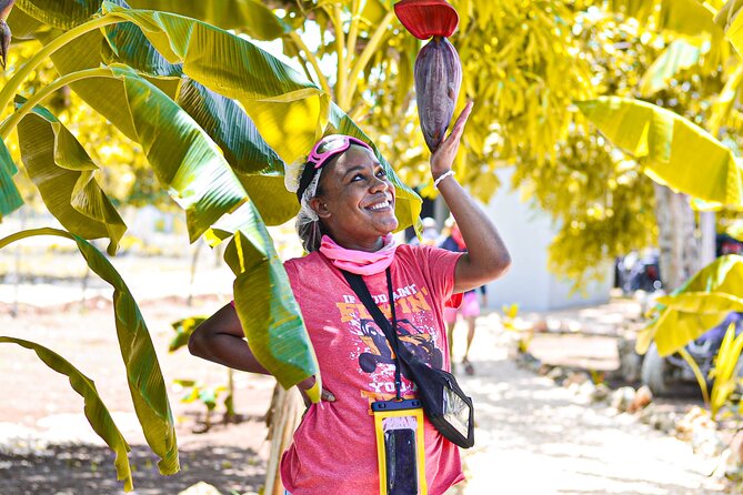 Buggy Tour Punta Cana: MagicalCaves ,Dream Beaches & Culture - Who should book this Punta Cana buggy tour?