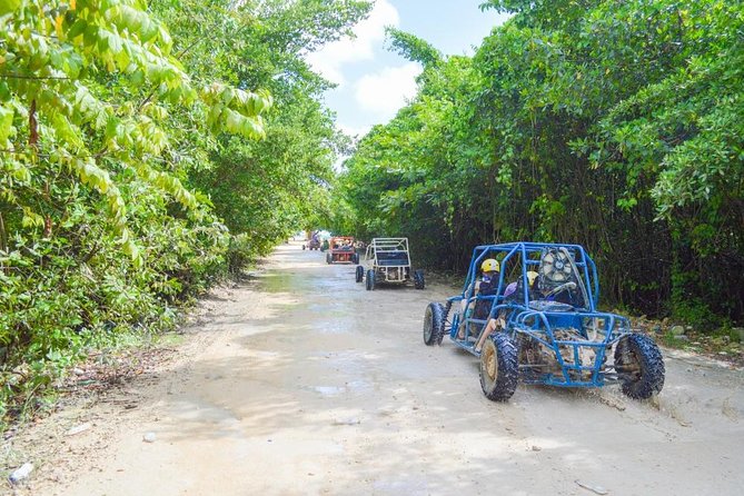 Buggys & Polaris -Best Way to Explore Punta Cana - Riding through villages and plantation country