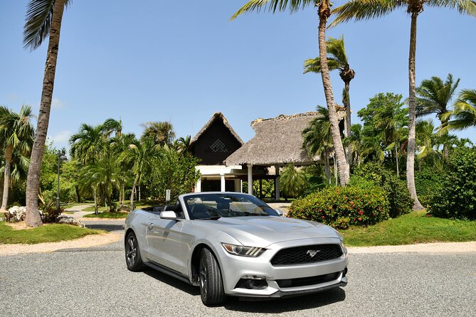 Cars for Rent in Punta Cana - Service strengths and one important warning
