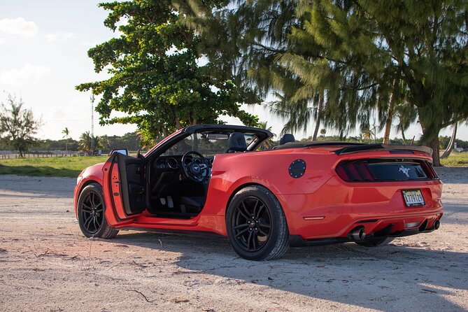 Cars for Rent in Punta Cana - Who will get the most from this rental