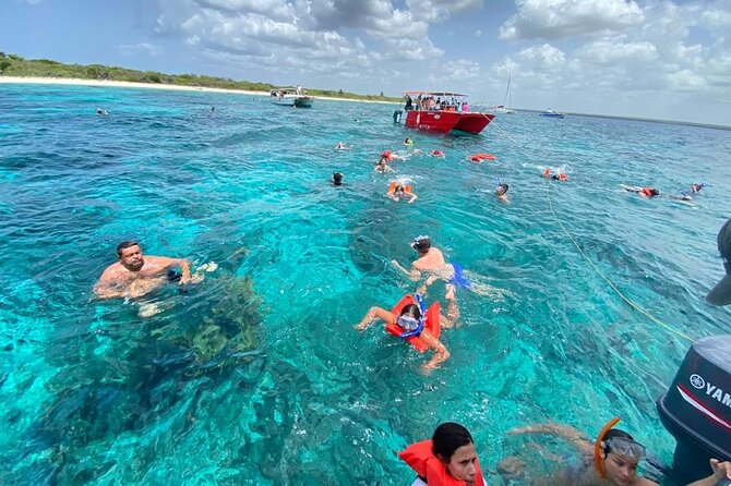 Catalina Island and Snorkeling - Full-day Trip - Key points to know before you book