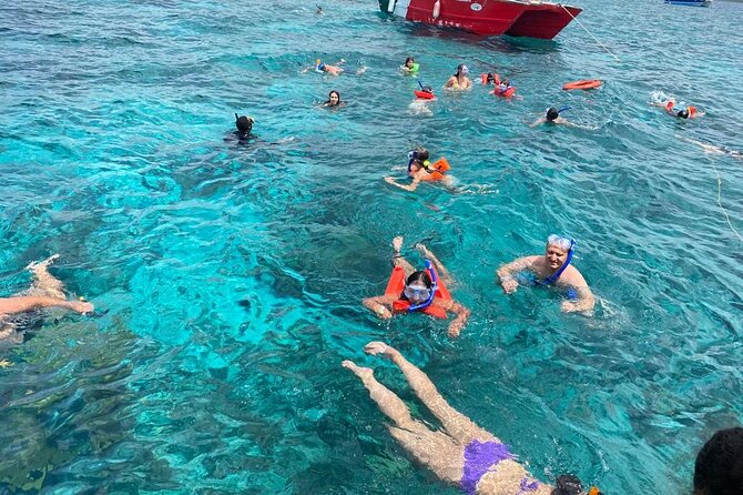 Catalina Island and Snorkeling - Full-day Trip - Who will enjoy this Catalina Island trip most?