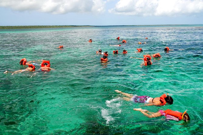 Catalina Island DayTrip + Great Snorkeling - Crew service and the human side of the trip
