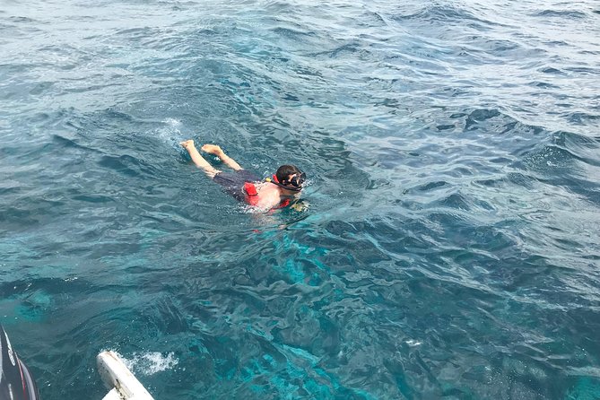 Catalina Island DayTrip + Great Snorkeling - Who will get the most from this day