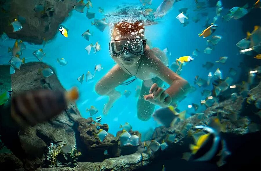 Catalina Island Full-Day Snorkeling + Lunch from Punta Cana - The long road from Punta Cana to Catalina Island