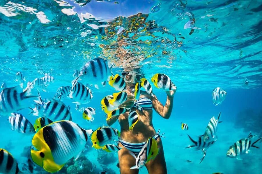 Catalina Island Full-Day Snorkeling + Lunch from Punta Cana - Taking the boat across to Catalina