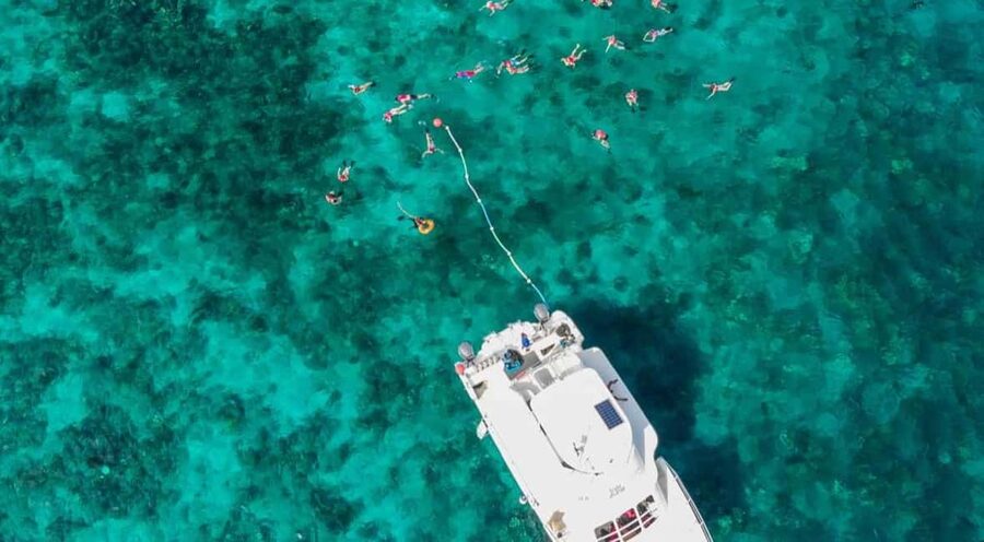 Catalina Island Full-Day Snorkeling + Lunch from Punta Cana - The return journey is where patience matters