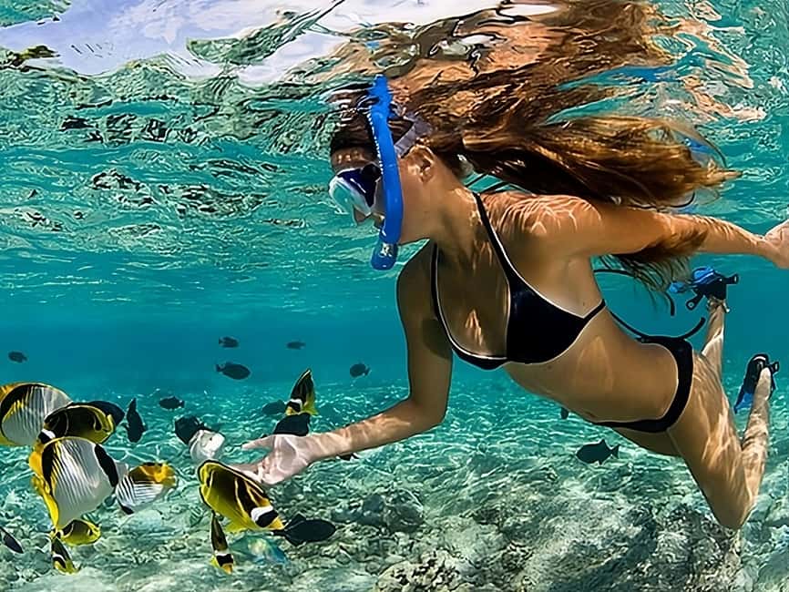 Catalina Island Full-Day Snorkeling + Lunch from Punta Cana - Booking tips that can prevent a bad morning