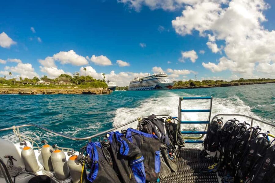 Catalina Island Scuba Diving Tour from Punta Cana - Timing, cancellation, and small planning details
