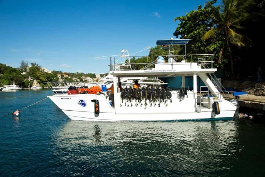 Catalina Island Scuba Diving Tour from Punta Cana - From Punta Cana to La Romana: the day starts early