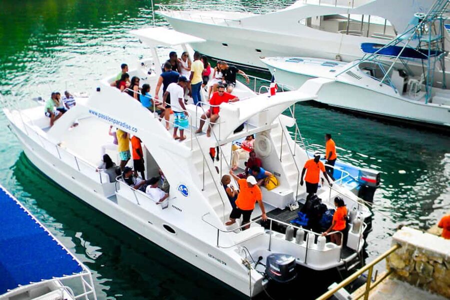 Catalina Island Scuba Diving Tour from Punta Cana - The Wall: a serious first stop for confident divers