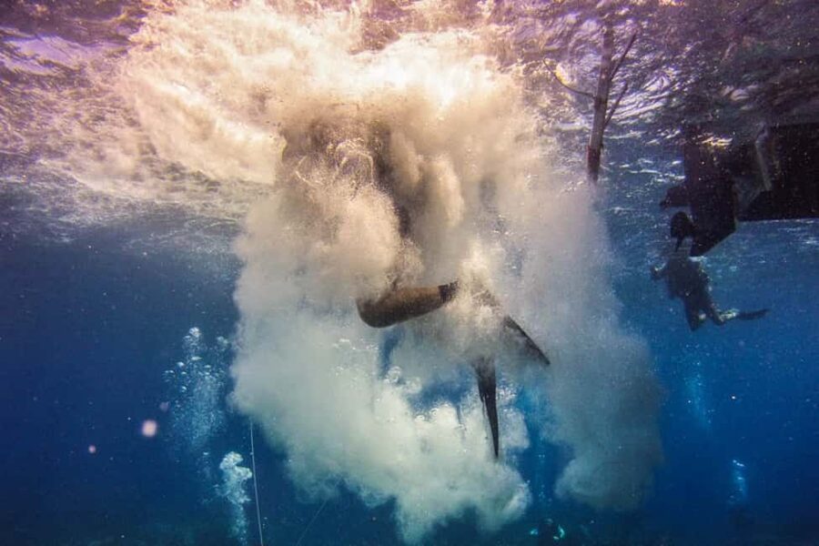 Catalina Island Scuba Diving Tour from Punta Cana - Who will get the most from this Catalina excursion?