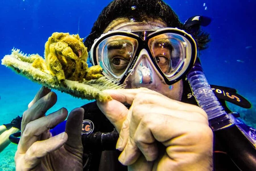 Catalina Island Scuba Diving Tour from Punta Cana - The catamaran ride and the size of the operation