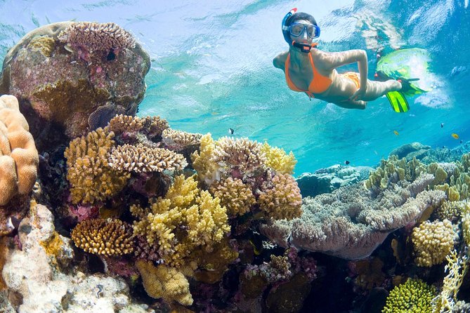 Catalina Island Snorkel Excursion from Punta Cana - Key points before you book