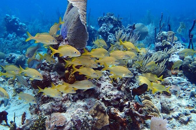 Catalina Island Snorkel Excursion from Punta Cana - From Punta Cana to La Romana by road