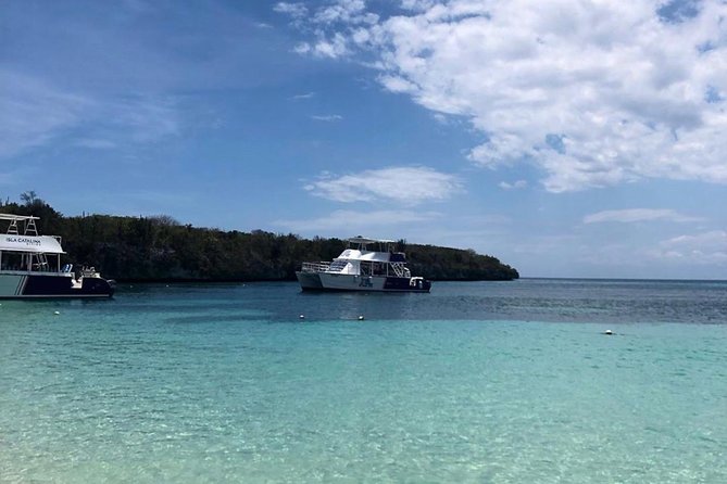 Catalina Island Snorkeling: Explore its Crystal Clear Waters - Practical details that can make the day easier