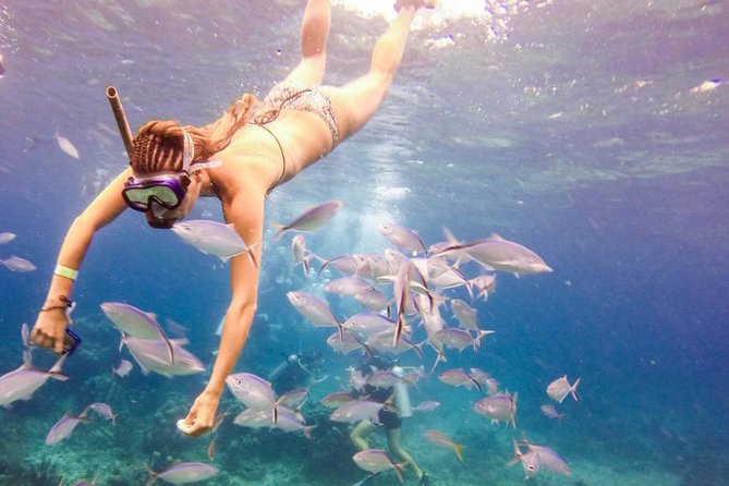 Catalina Island & Snorkeling Paradise From Punta Cana - Key points at a glance