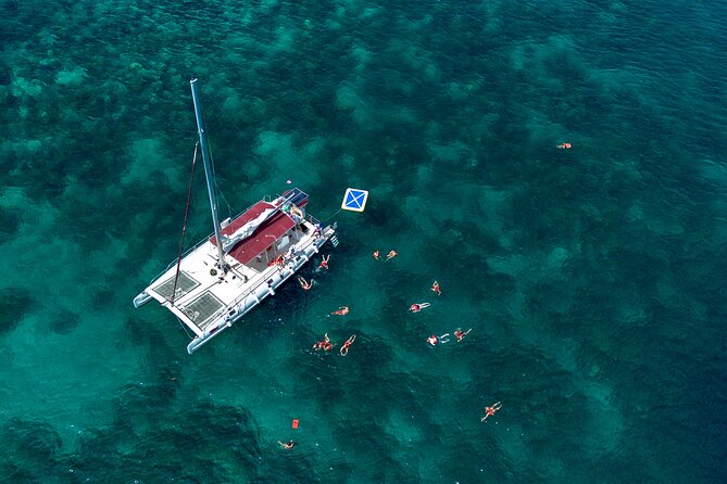 Catalina Island & Snorkeling Paradise From Punta Cana - What the $89 price really covers