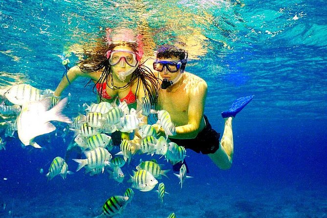 Catalina Island & Snorkeling Paradise From Punta Cana - The morning starts before breakfast