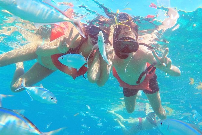 Catalina Island & Snorkeling Tour - Catalina Island beach time and the split in quality