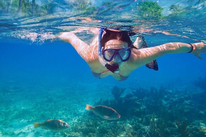 Catalina Island & Snorkeling Tour - Is $90 a fair price?