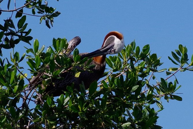 Catalina Island - Snorkeling tour on a luxury catamaran - Why the Quetzal catamaran matters