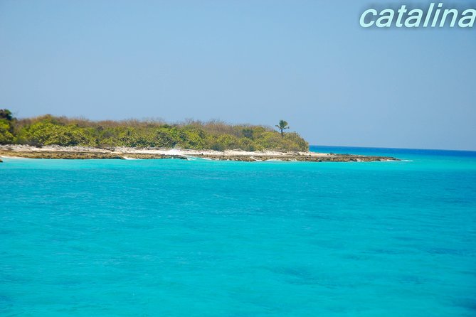 Catalina Island & Snorkeling Tour - The Wall and the first snorkeling stop