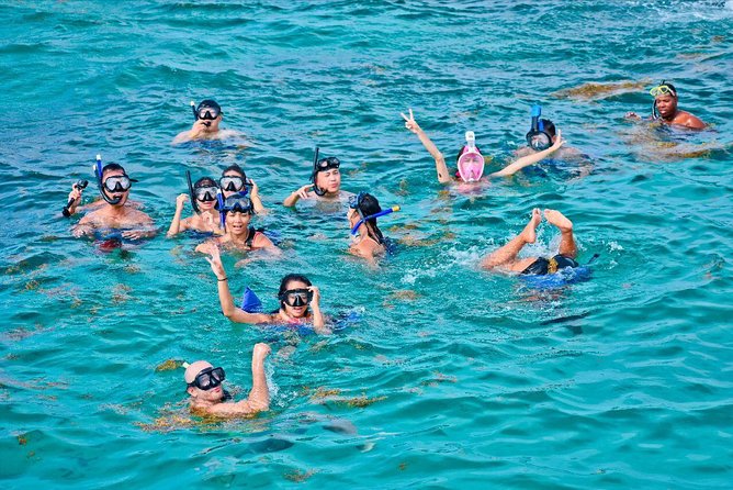 Catalina Island & Snorkling Tour Full Day All Inclusive - What the Catalina day is really like