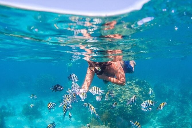 Catalina Island & Snorkling Tour Full Day All Inclusive - Early pickup and the road to the port