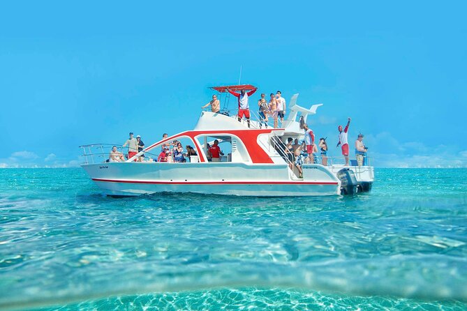 Catamaran and Snorkeling Party with Drink Included in Punta Cana - Second stop: watching dolphins from a distance