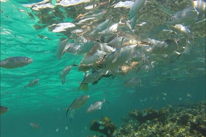Catamaran and Snorkeling Party with Drink Included in Punta Cana - Views along Punta Cana’s coast