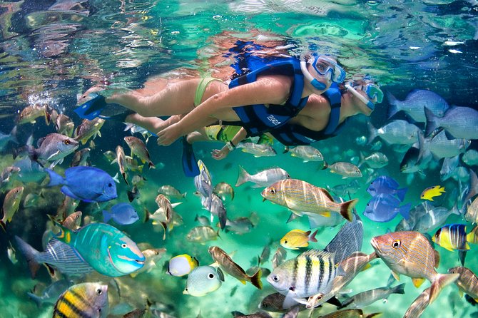 Catamaran Cruise with Snorkeling & Parasailing - Is $125 a good value?