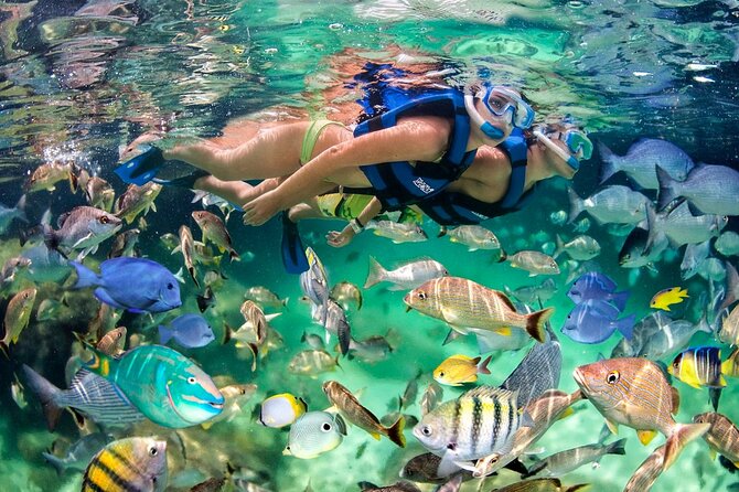 Catamaran party in Punta Cana with open bar, music and more - What the $58 price really buys you