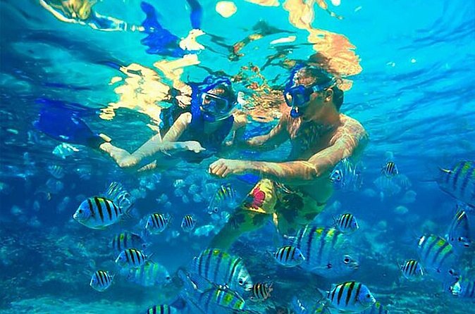 Catamaran Party in Punta Cana with Unlimited Drinks - Is the pickup option useful?