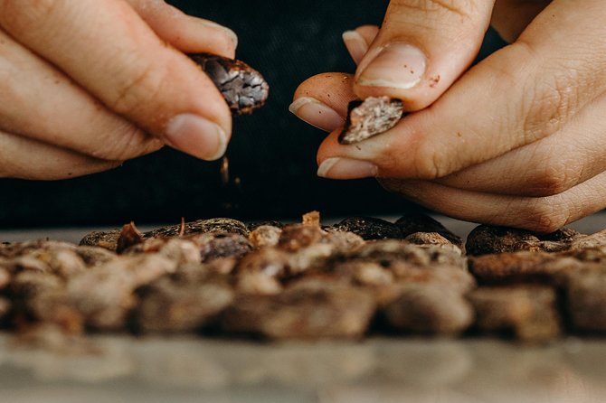 Chocolate Master Class & Taino concept Store - From cocoa bean to finished chocolate