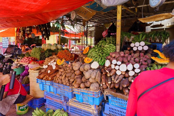 City Tour & Half-Day Safari Experiences - Why This Safari Gets You Past the Resort Bubble